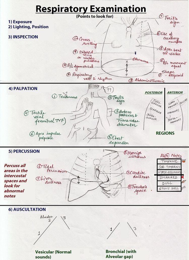 Respiratory examination