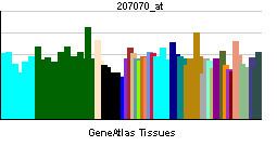 Retinal G protein coupled receptor