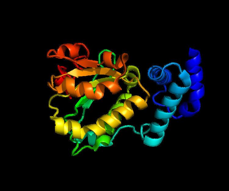 Retinaldehyde-binding protein 1