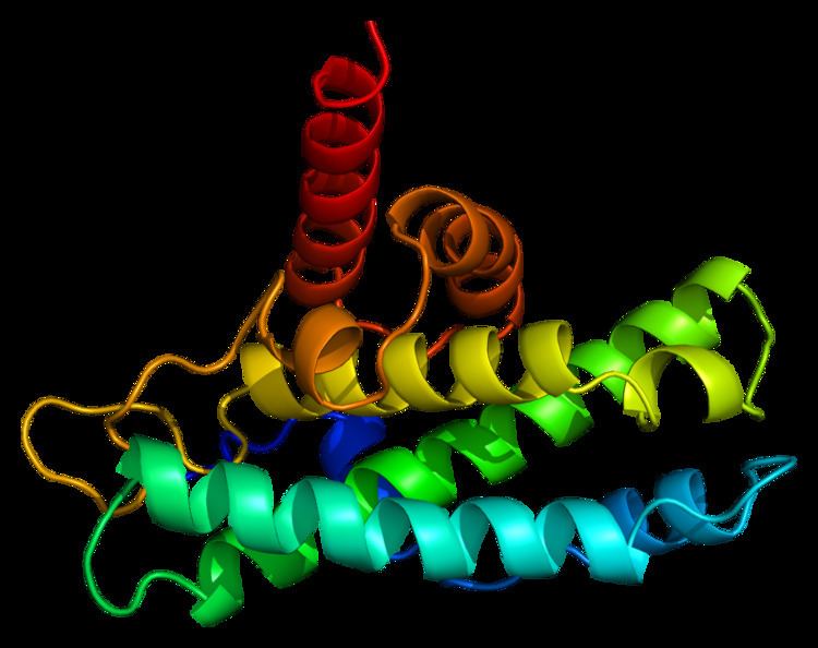 Retinoblastoma protein