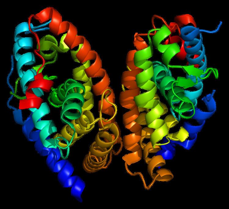 Retinoic Acid Receptor Alpha Alchetron The Free Social Encyclopedia