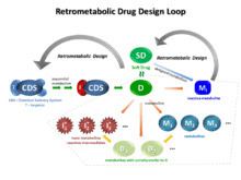 Retrometabolic drug design httpsuploadwikimediaorgwikipediacommonsthu