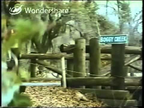 Return to Boggy Creek Return To Boggy Creek 1977 Part 1 YouTube