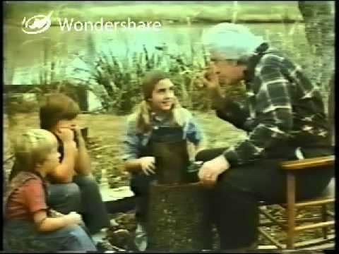 Return to Boggy Creek Return To Boggy Creek 1977 Part 2 YouTube