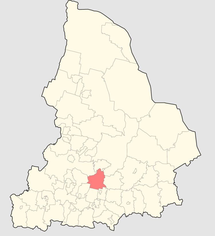 Rezhevsky District