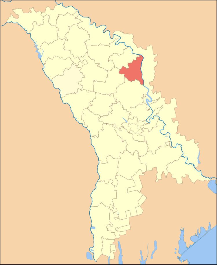 Rezina District