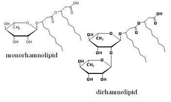 Rhamnolipid surfactants