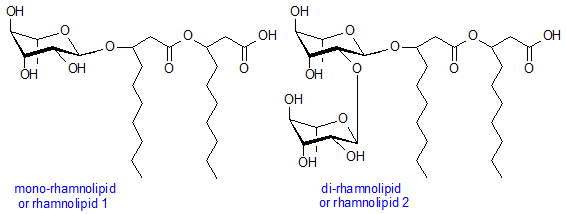 Rhamnolipid Rhamnolipids Sophorolipids and Other Glycolipid Biosurfactants