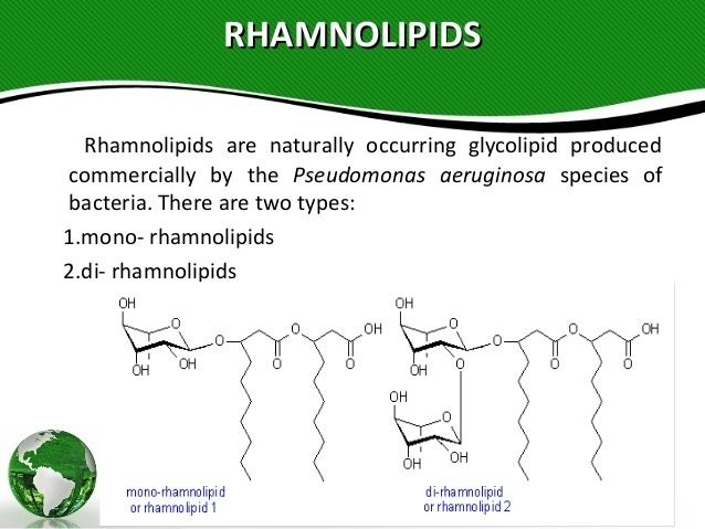 Rhamnolipid RHAMNOLIPIDS biosurfactants