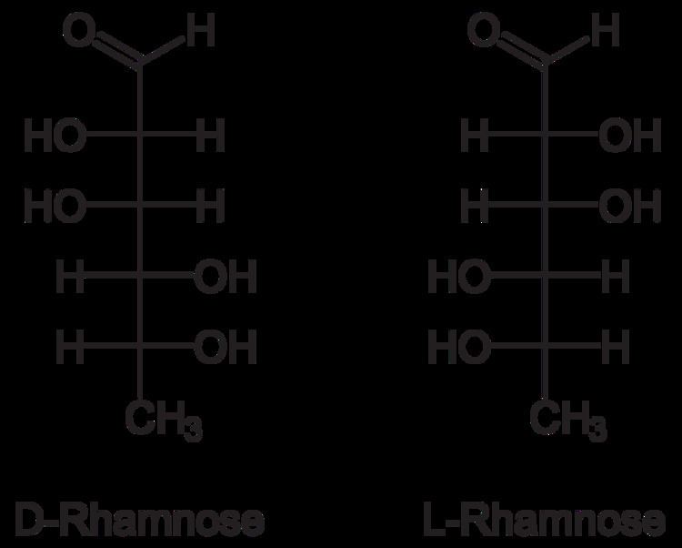 Rhamnose FileDLRhamnosesvg Wikimedia Commons