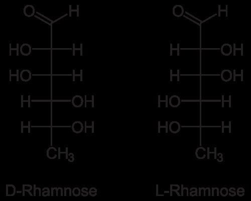 Rhamnose FileDLRhamnosesvg Wikimedia Commons