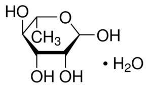 Rhamnose wwwsigmaaldrichcomcontentdamsigmaaldrichstr