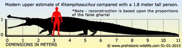 Rhamphosuchus Rhamphosuchus
