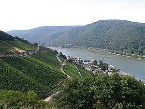 Rheingau httpsuploadwikimediaorgwikipediacommonsthu