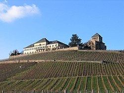 Rheingau (wine region) httpsuploadwikimediaorgwikipediacommonsthu