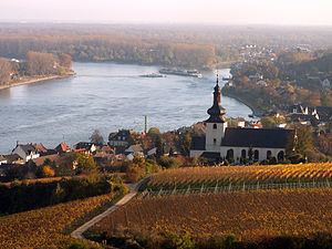 Rheinhessen (wine region) httpsuploadwikimediaorgwikipediacommonsthu