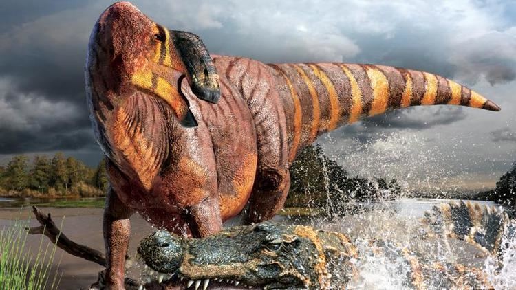 Rhinorex New Dinosaur Rhinorex Raises Cretaceous Quandary Phenomena