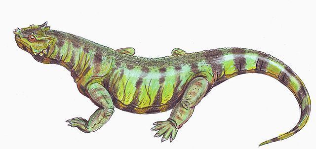 Rhipaeosaurus httpsuploadwikimediaorgwikipediacommonsthu