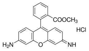 Rhodamine 123 Rhodamine 123 mitochondrial specific fluorescent dye SigmaAldrich