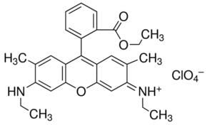 Rhodamine 6G Rhodamine 6G perchlorate Dye content 99 SigmaAldrich