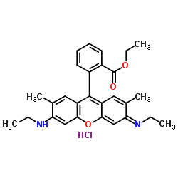 Rhodamine 6G Rhodamine 6G C28H31ClN2O3 ChemSpider