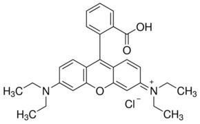 Rhodamine Rhodamine B 95 HPLC SigmaAldrich