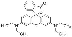 Rhodamine B Rhodamine B base Dye content 97 SigmaAldrich