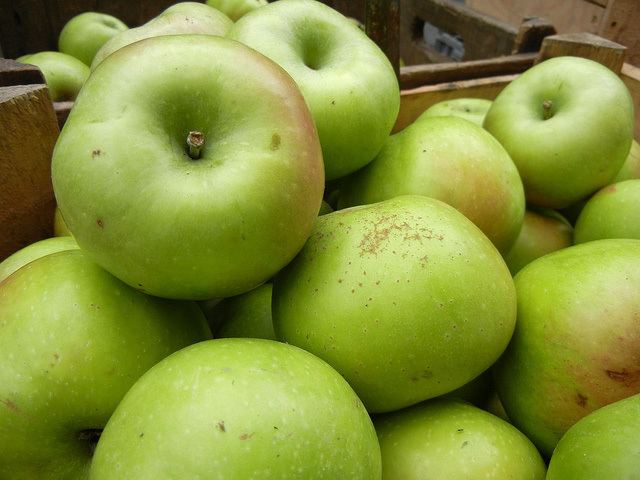 Rhode Island Greening Rhode Island greening apple State Fruit State Symbols USA