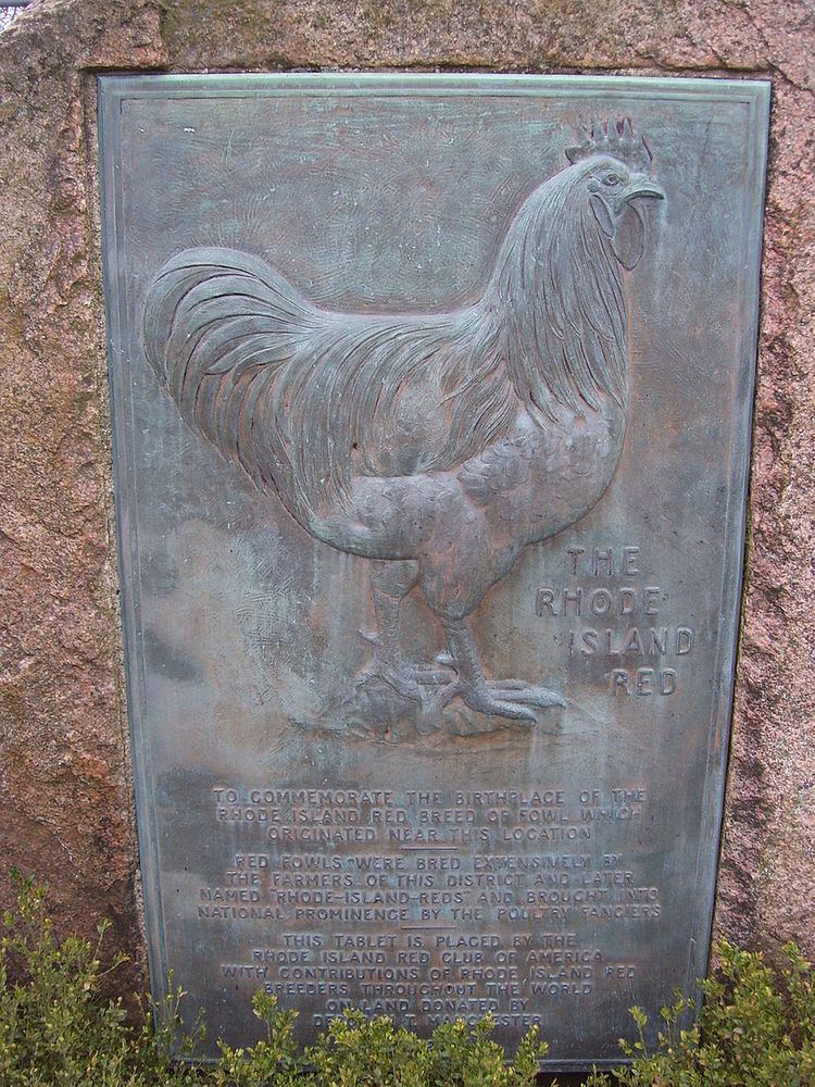 Rhode Island Red Monument
