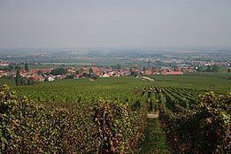 Rhodt unter Rietburg httpsuploadwikimediaorgwikipediacommonsthu