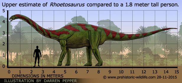 Rhoetosaurus wwwprehistoricwildlifecomimagesspeciesrrhoe