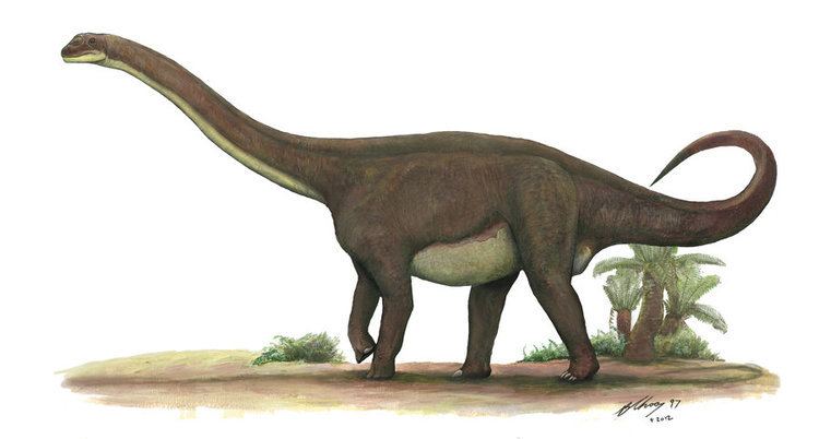 Rhoetosaurus Rhoetosaurus brownei by Gogosardina on DeviantArt