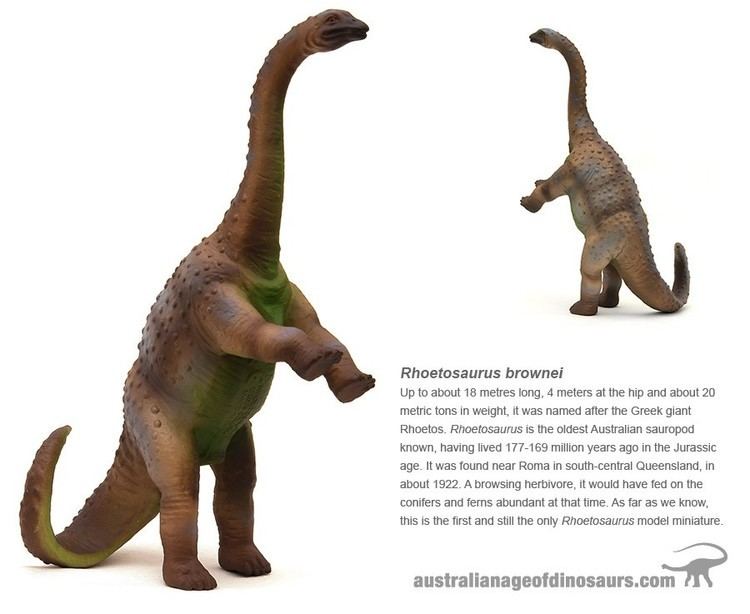 Rhoetosaurus Rhoetosaurus Pictures amp Facts The Dinosaur Database