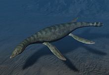 Rhomaleosaurus Rhomaleosaurus Wikipedia