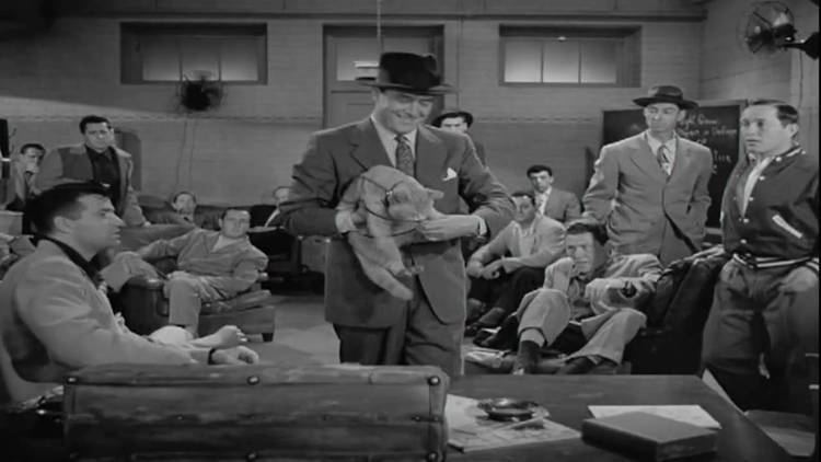 Rhubarb (1951 film) Leonard Nimoy in Rhubarb YouTube