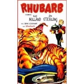 Rhubarb (1951 film) Rhubarb DVD Talk Review of the DVD Video