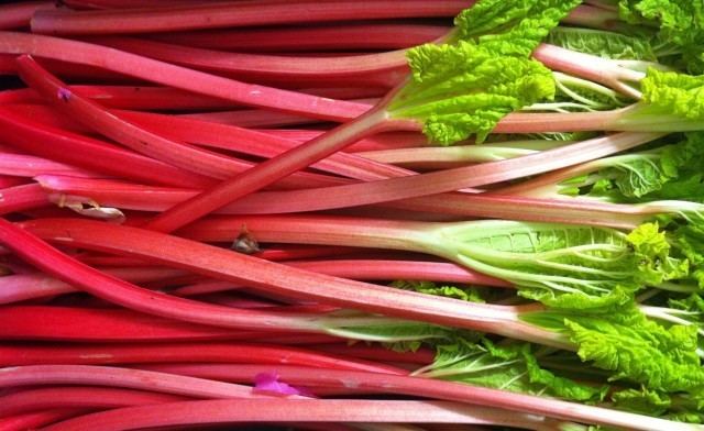 Rhubarb Rhubarb Medicinal plants DrTohid Nooralvandi Pulse LinkedIn