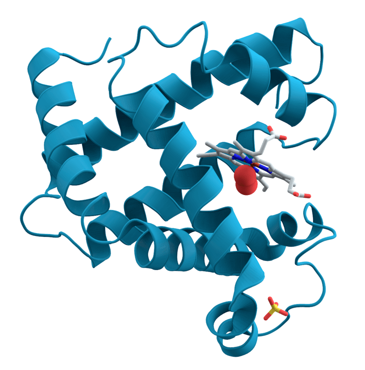 Ribbon diagram