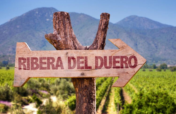 Ribera del Duero Wine of the Week Ribera del Duero Naomi Bakes