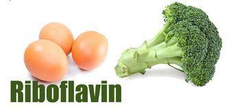 Riboflavin Riboflavin as a Nutrient Belly Bytes