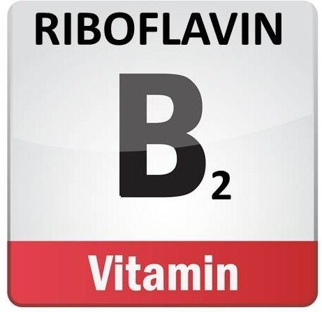 Riboflavin B2 RIBOFLAVIN IN THE EQUINE DIET The Equine Nutrition Nerd