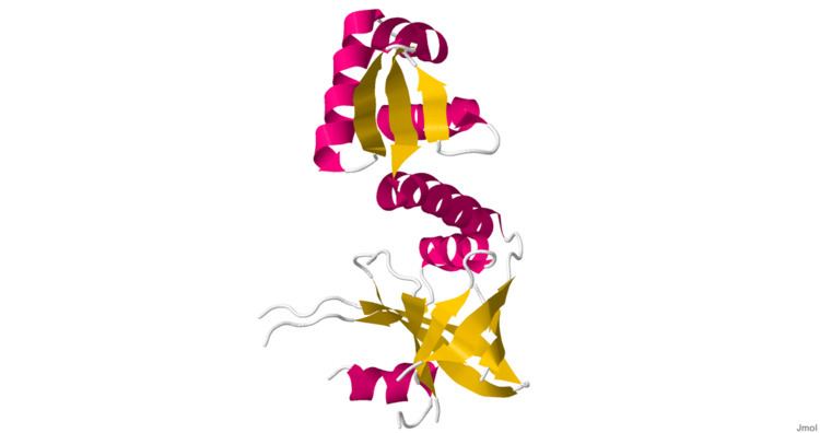 Riboflavin kinase