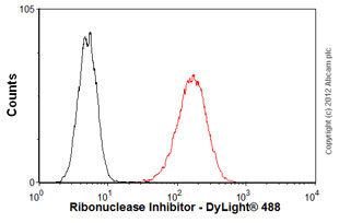 Ribonuclease inhibitor AntiRibonuclease Inhibitor antibody ab77448 Abcam