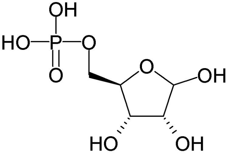 Ribose 5-phosphate 5 Wikipedia