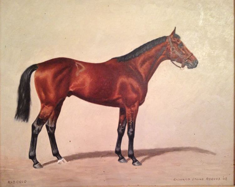 Ribot (horse) Tony Morris June 2014