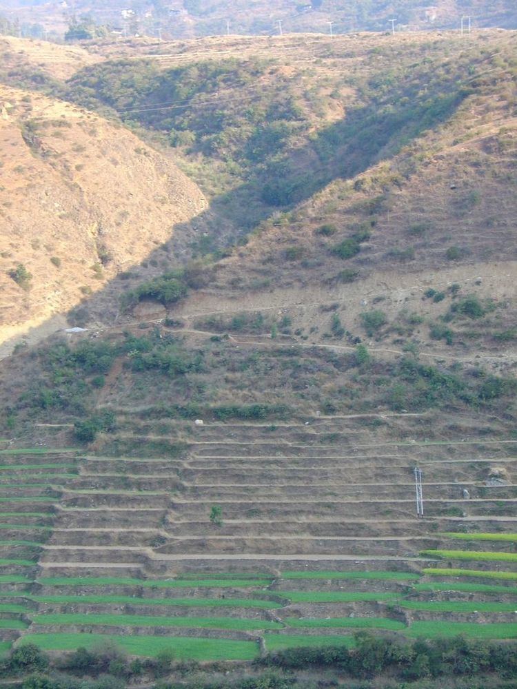 Rice production in Bhutan