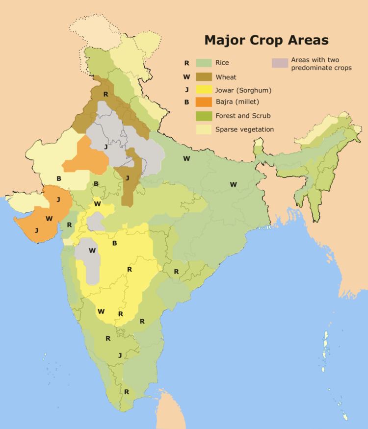 Rice production in India Alchetron, the free social encyclopedia