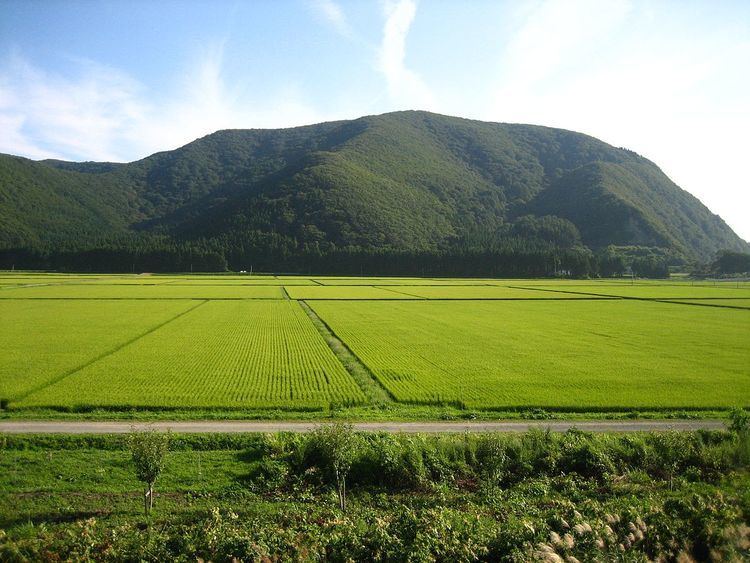 Rice production in Japan
