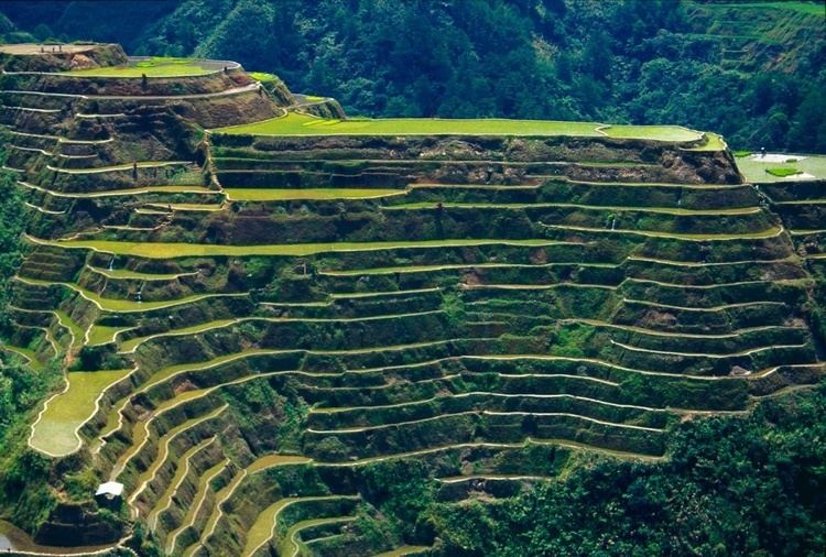Rice Terraces of the Philippine Cordilleras Rice Terraces of the Philippine Cordilleras Explore Wonders