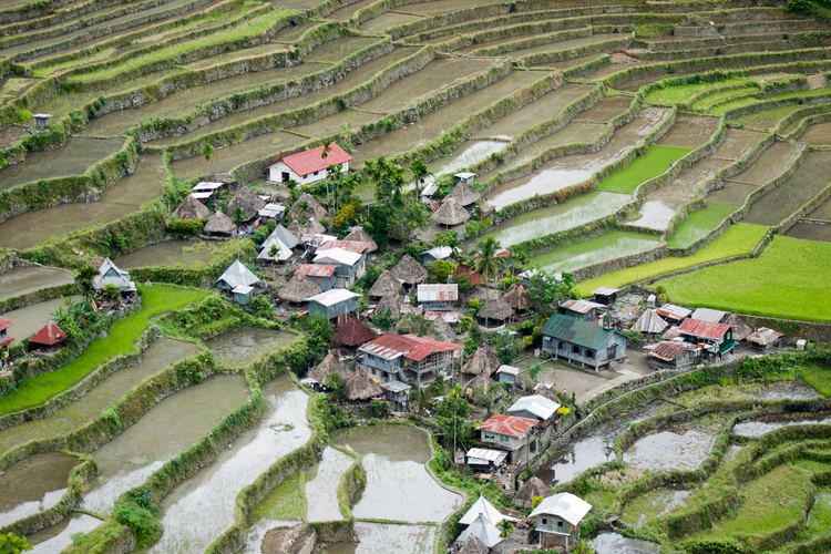 Rice Terraces of the Philippine Cordilleras Rice Terraces of the Philippine Cordilleras Wikipedia
